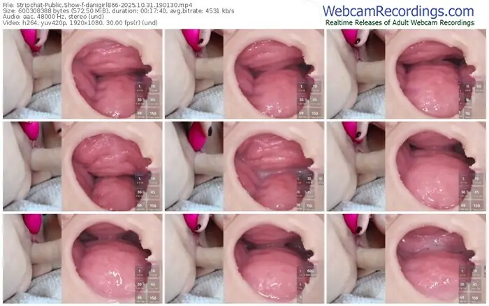 2025/10/31/stripchat-danigirl866-19-01-30