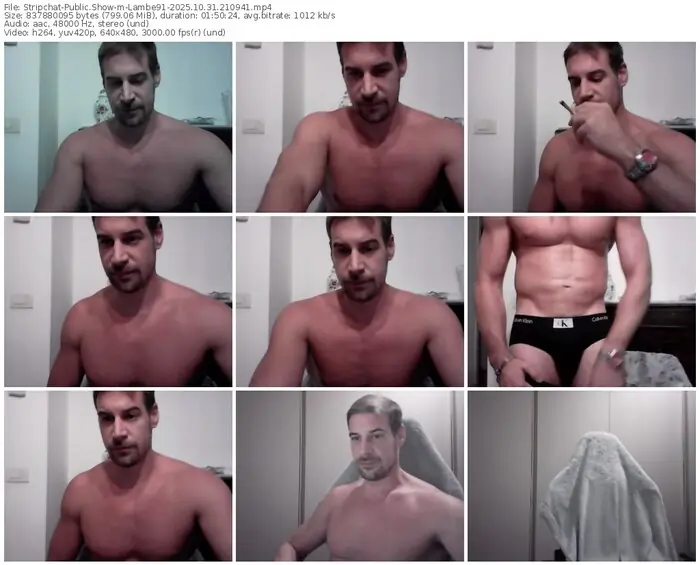 2025/10/31/stripchat-lambe91-21-09-41
