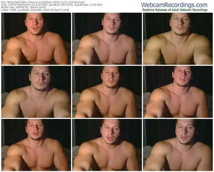 2025/10/31/stripchat-lionedwin-10-19-26