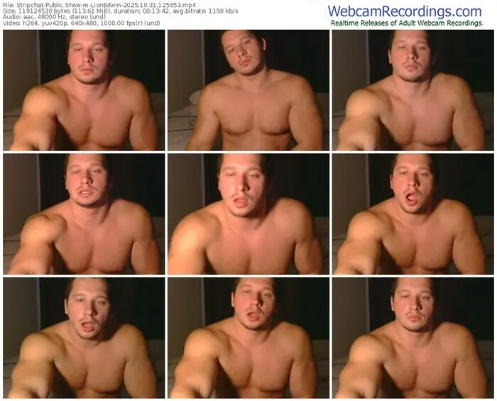 2025/10/31/stripchat-lionedwin-12-56-53