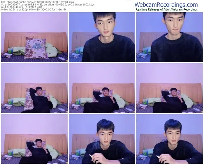 2025/10/31/stripchat-n228-13-23-01