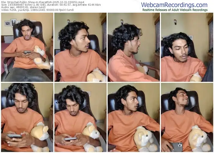 2025/10/31/stripchat-thecatfish-03-00-51