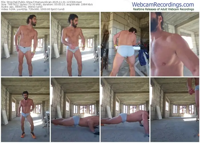 2025/11/01/stripchat-mariusvidican-12-33-06