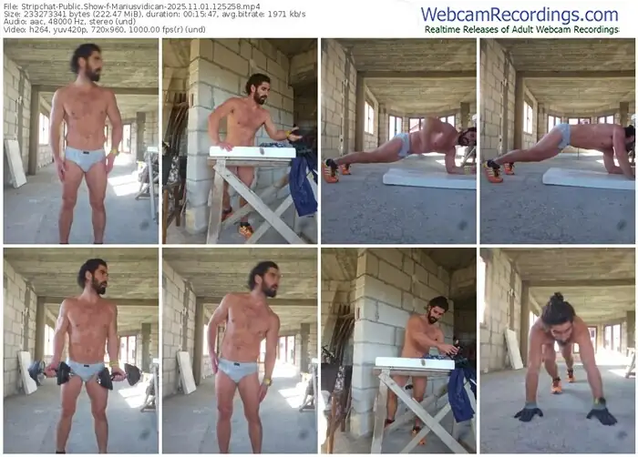 2025/11/01/stripchat-mariusvidican-12-52-58