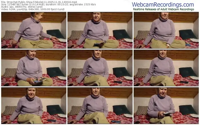 2025/11/01/stripchat-nikole111-14-30-16
