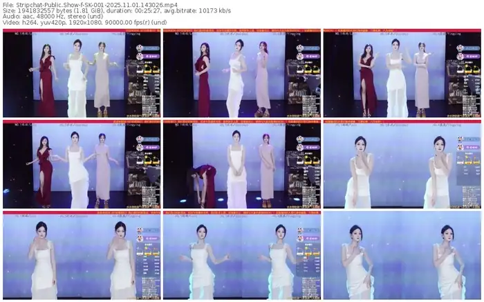 2025/11/01/stripchat-sk-001-14-30-26