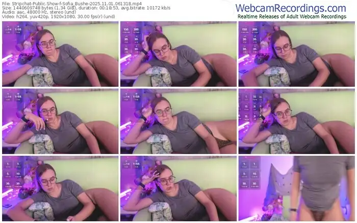2025/11/01/stripchat-sofia_bushe-06-13-18