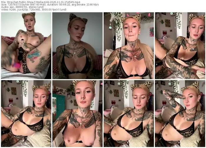 2025/11/01/stripchat-stella-kink-15-45-45