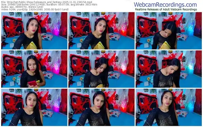 2025/11/01/stripchat-pleasure_and_fantasy-23-41-54