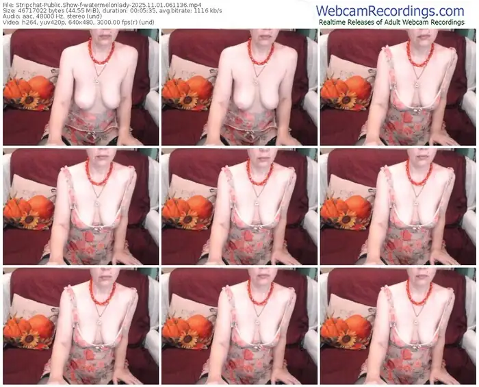 2025/11/01/stripchat-watermelonlady-06-11-36