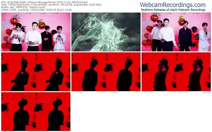 2025/11/01/stripchat-boygayhouse-08-43-19