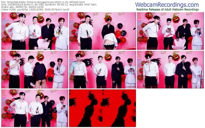 2025/11/01/stripchat-boygayhouse-09-50-40