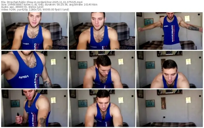 2025/11/01/stripchat-jordan1dior-07-50-25