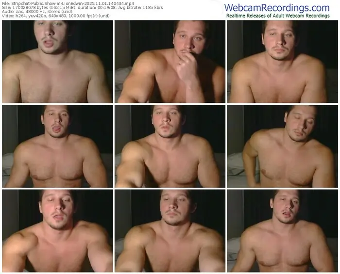 2025/11/01/stripchat-lionedwin-14-04-34