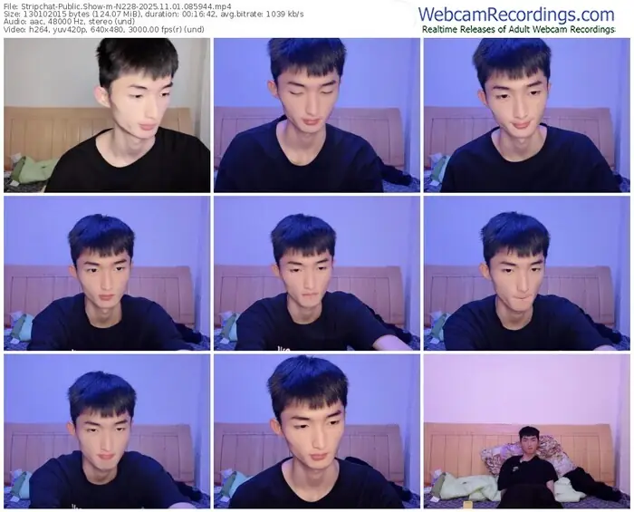 2025/11/01/stripchat-n228-08-59-44