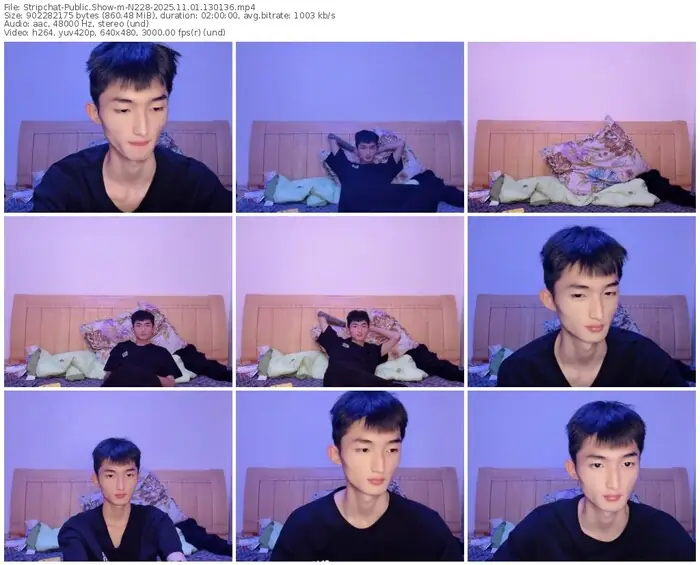 2025/11/01/stripchat-n228-13-01-36