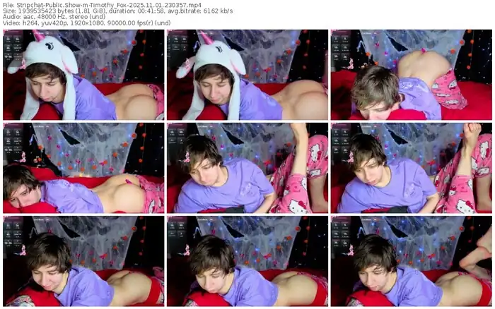 2025/11/01/stripchat-timothy_fox-23-03-57