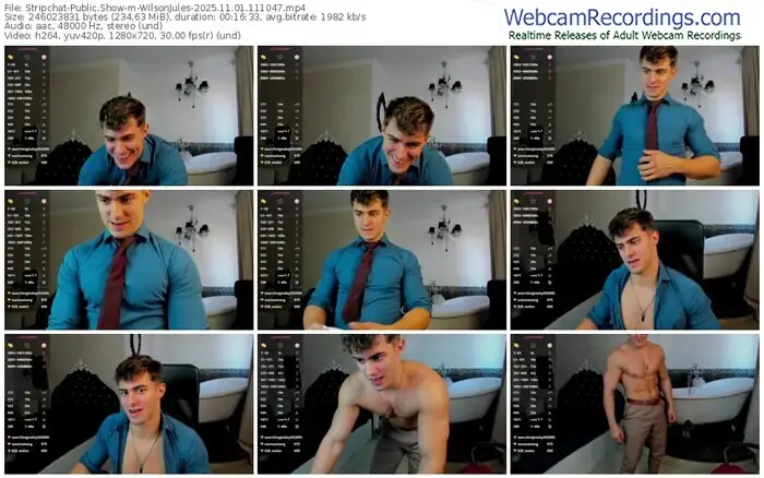 2025/11/01/stripchat-wilsonjules-11-10-47