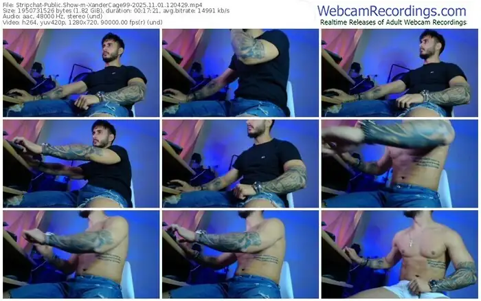 2025/11/01/stripchat-xandercage99-12-04-29