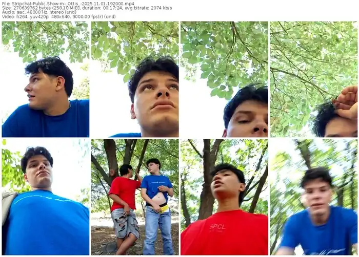 2025/11/01/stripchat-_ottis_-19-20-00