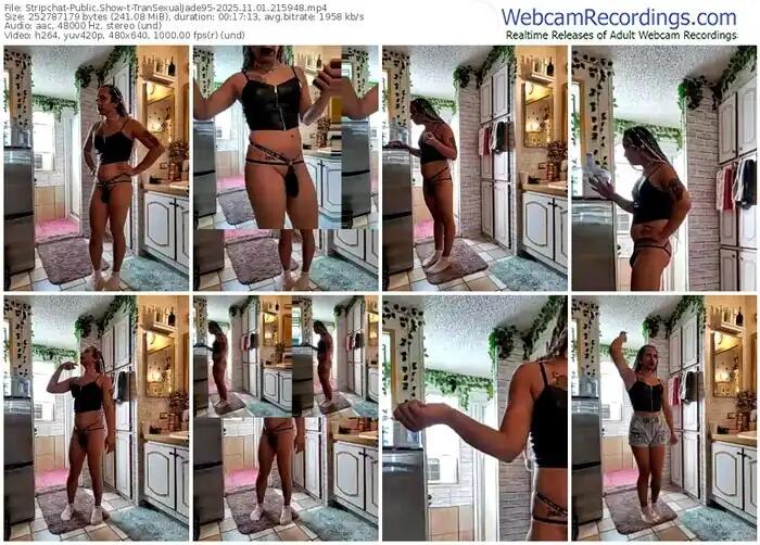 2025/11/01/stripchat-transexualjade95-21-59-48