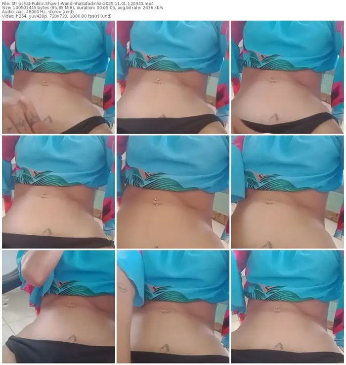 2025/11/01/stripchat-wandinhasafadinha-12-03-40