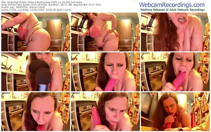 2025/11/02/stripchat-endrocleia-05-13-14