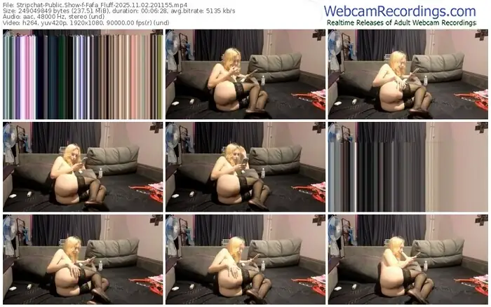 2025/11/02/stripchat-fafa_fluff-20-11-55