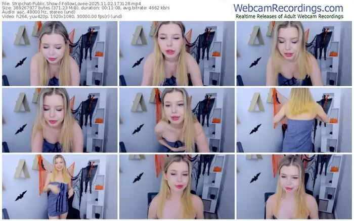 2025/11/02/stripchat-followlovee-17-31-28