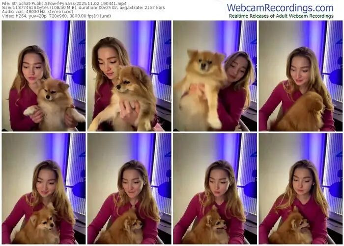 2025/11/02/stripchat-fynaris-19-04-41