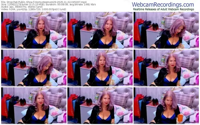 2025/11/02/stripchat-hornystepmom29-04-53-07