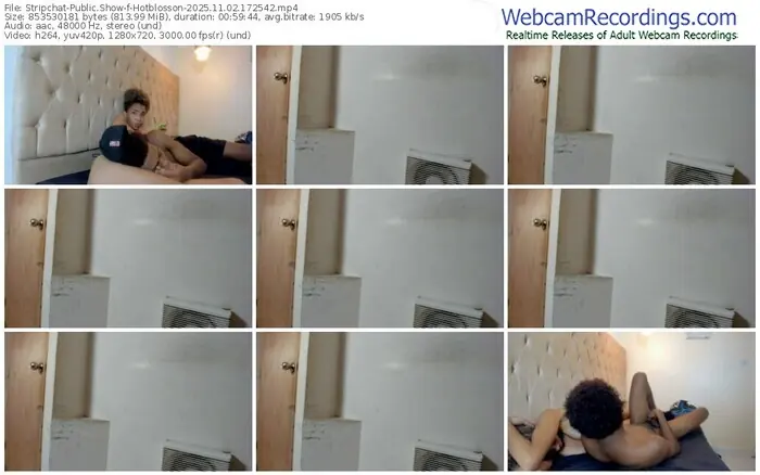 2025/11/02/stripchat-hotblosson-17-25-42