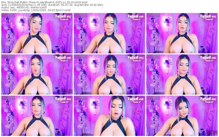 2025/11/02/stripchat-ladydream1-01-24-18