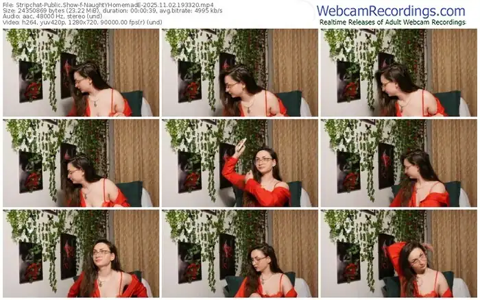 2025/11/02/stripchat-naughtyhomemade-19-33-20