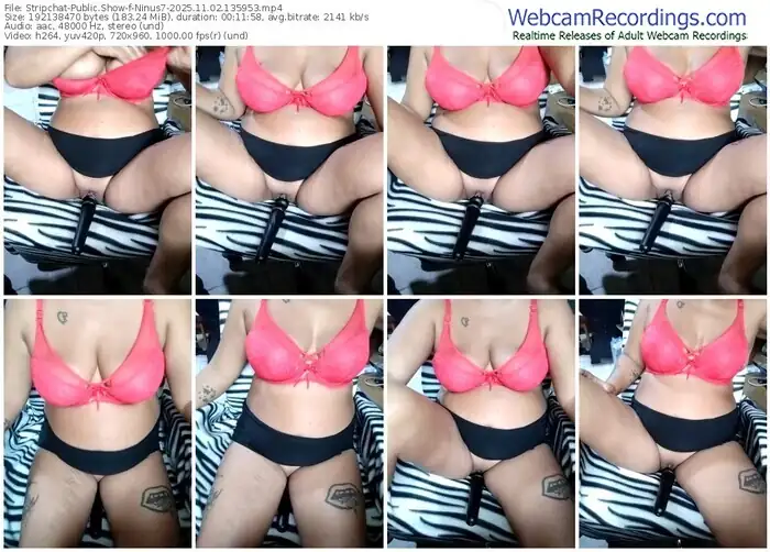 2025/11/02/stripchat-ninus7-13-59-53