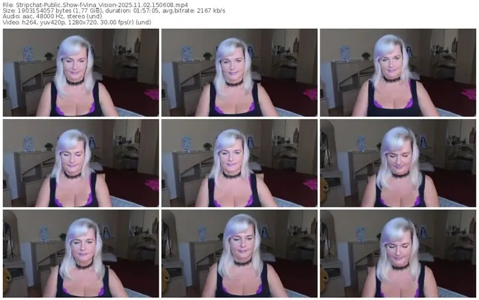 2025/11/02/stripchat-vina_vision-15-06-08