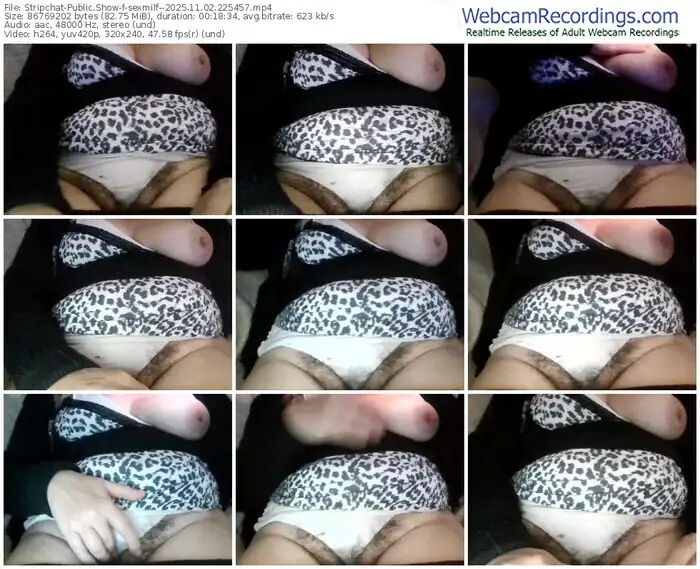 2025/11/02/stripchat-sexmilf--22-54-57