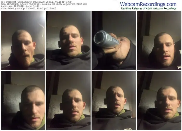 2025/11/02/stripchat-boysex227-15-41-49