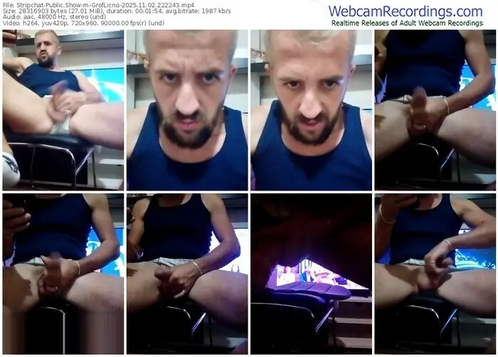 2025/11/02/stripchat-groflicno-22-22-43