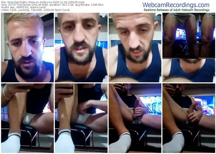 2025/11/02/stripchat-groflicno-22-55-25