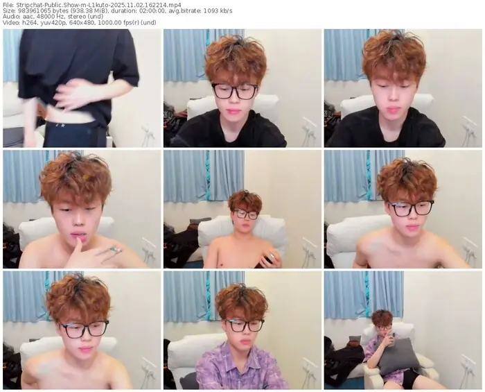 2025/11/02/stripchat-l1kuto-16-22-14