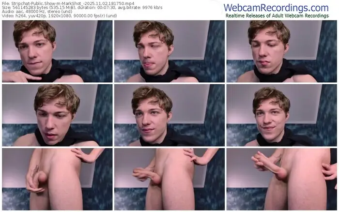 2025/11/02/stripchat-markshot_-18-17-50