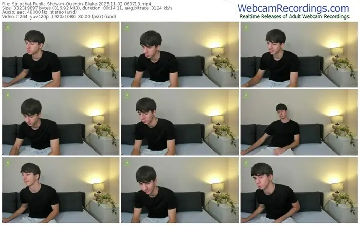 2025/11/02/stripchat-quentin_blake-06-37-13