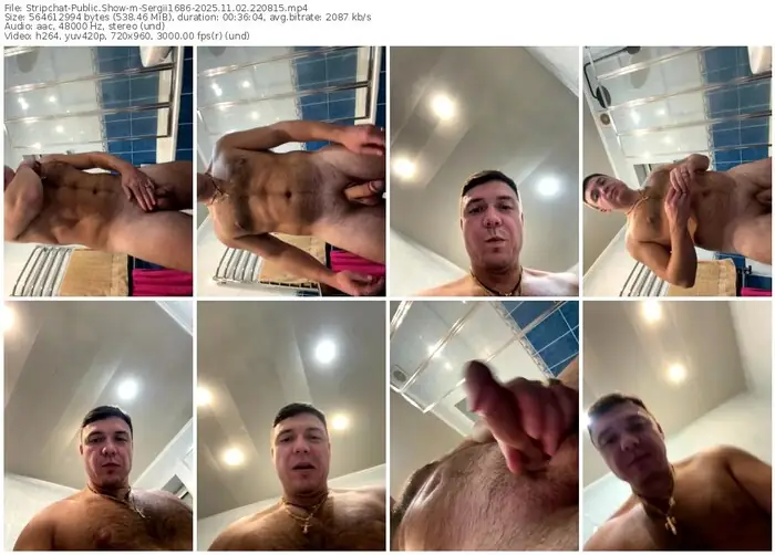 2025/11/02/stripchat-sergii1686-22-08-15