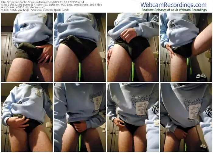 2025/11/02/stripchat-trekkerboi-20-29-50