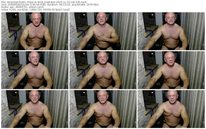 2025/11/02/stripchat-wild_gladiator-18-13-35