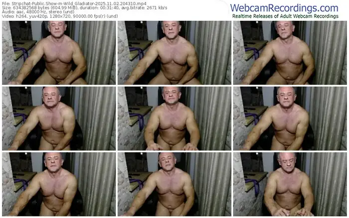 2025/11/02/stripchat-wild_gladiator-20-43-10