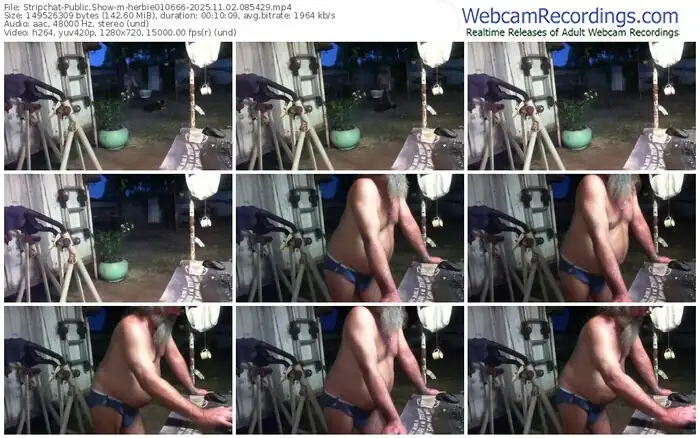 2025/11/02/stripchat-herbie010666-08-54-29