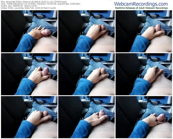 2025/11/02/stripchat-jk1981jk-15-42-06