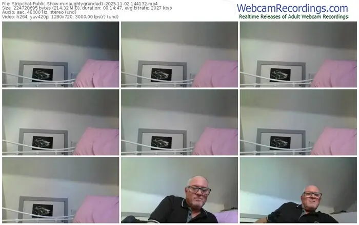 2025/11/02/stripchat-naughtygrandad1-14-41-32